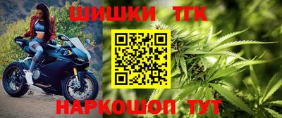 твердый Кингисепп