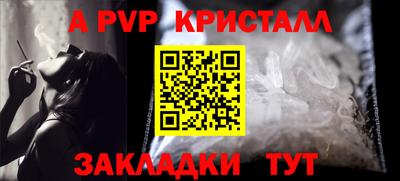 твердый Кингисепп